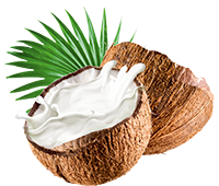 tsoap object coconut